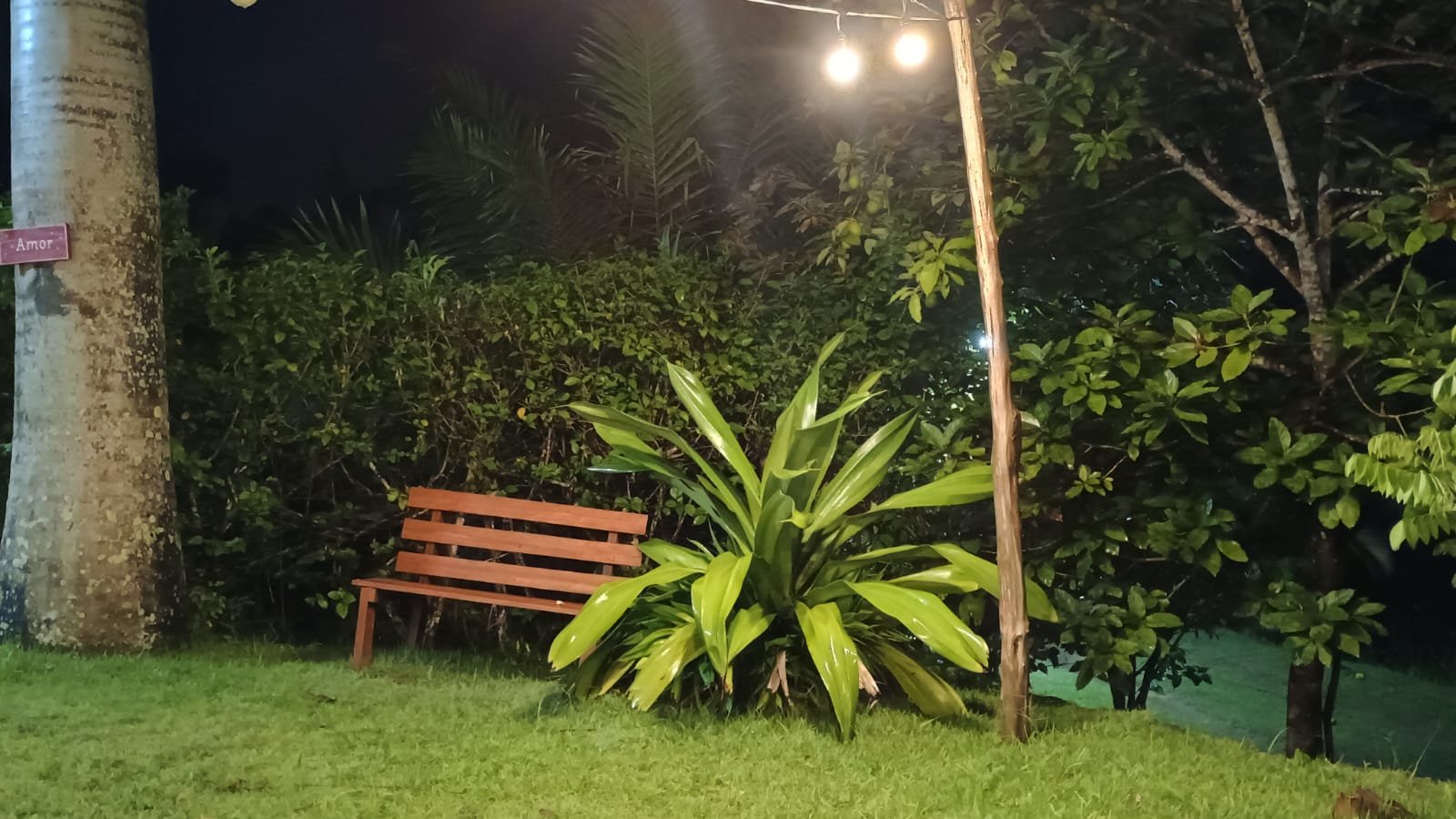 Fogueira e luzes noturnas no jardim