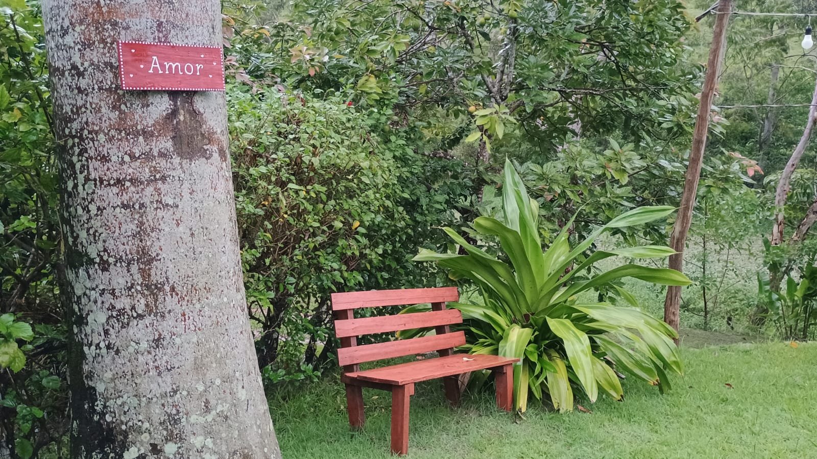 Jardim da pousada