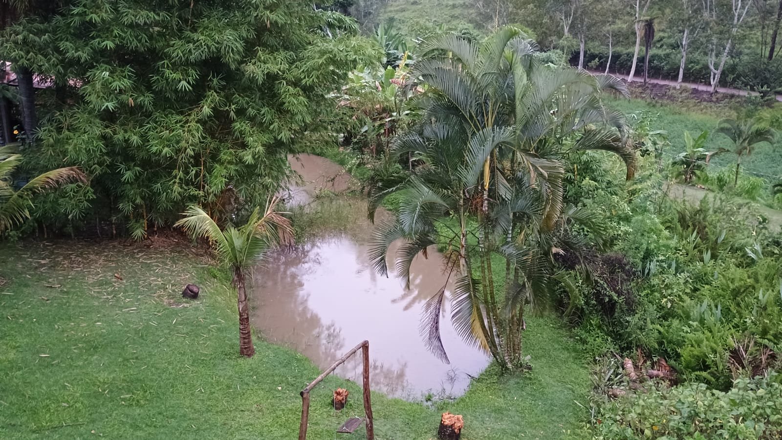 Lago do sítio com palmeiras